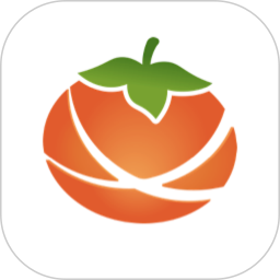 锌柿2025官方新版图标