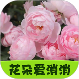 花朵爱消消2025官方新版图标