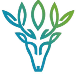 YoYo网2025官方新版图标