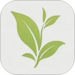 我的相册2026官方新版图标