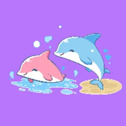 海豚圈圈2026官方新版图标