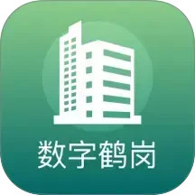 数字鹤岗2026官方新版图标