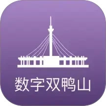 数字双鸭山2026官方新版图标