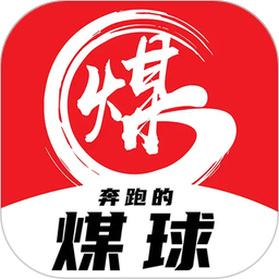 煤球2026官方新版图标