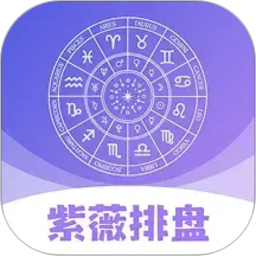 紫薇排盘2026官方新版图标
