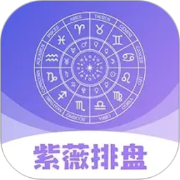 紫薇排盘2026官方新版图标