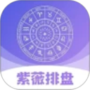 紫薇排盘2026官方新版图标