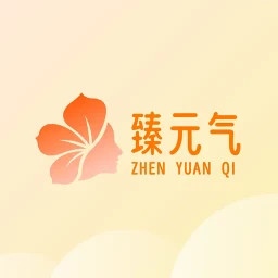 臻元气2025官方新版图标