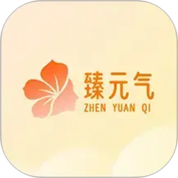 臻元气2026官方新版图标