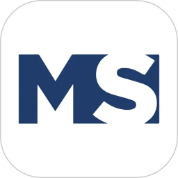 MGSTL2025官方新版图标