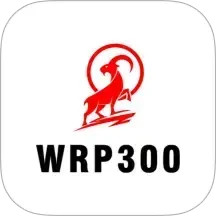 叁零零2026官方新版图标