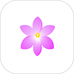 星启2026官方新版图标