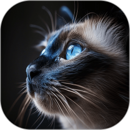 悬浮图片壁纸2025官方新版图标