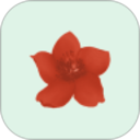 小红花助手2026官方新版图标