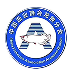 龙协云服2026官方新版图标