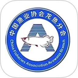 龙协云服2026官方新版图标