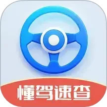 懂驾速查2025官方新版图标
