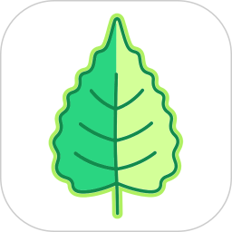 YealicoPro2026官方新版图标