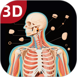 3D人体解剖图app-官方正版软件2025最新版本免费下载-应用宝官网