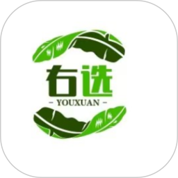 右选商城2025官方新版图标