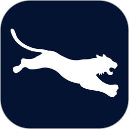 野豹vp加速器2026官方新版图标