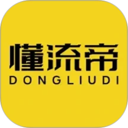 懂流帝2026官方新版图标