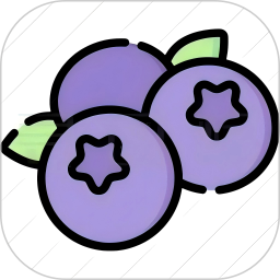 蓝莓音乐2025官方新版图标