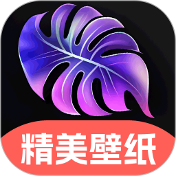 4K高清主题壁纸2026官方新版图标