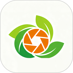 旋风视频2026官方新版图标