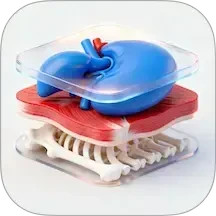 解剖图谱2026官方新版图标