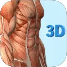 人体解剖学图谱2026官方新版图标