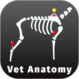 兽医解剖图谱2026官方新版图标