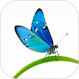 竹蜻蜓im2026官方新版图标