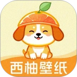 西柚壁纸2026官方新版图标