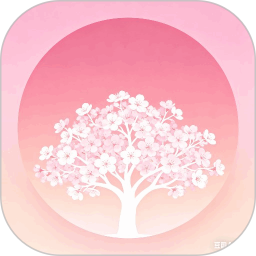 星溯信息盒子2026官方新版图标