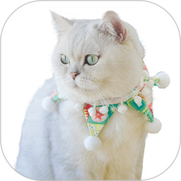 赚钱猫2026官方新版图标