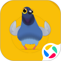 疯狂的鸽子2026官方新版图标