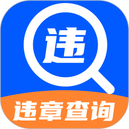 违章代码查查2026官方新版图标