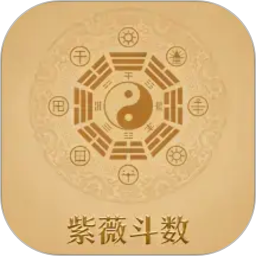 紫微斗数八字排盘2026官方新版图标