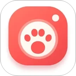 毛球在家2026官方新版图标