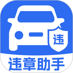 违章处罚代码指南2026官方新版图标