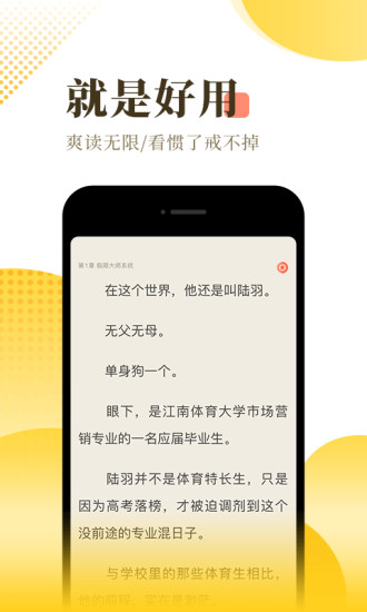 宜搜小说ios精简版