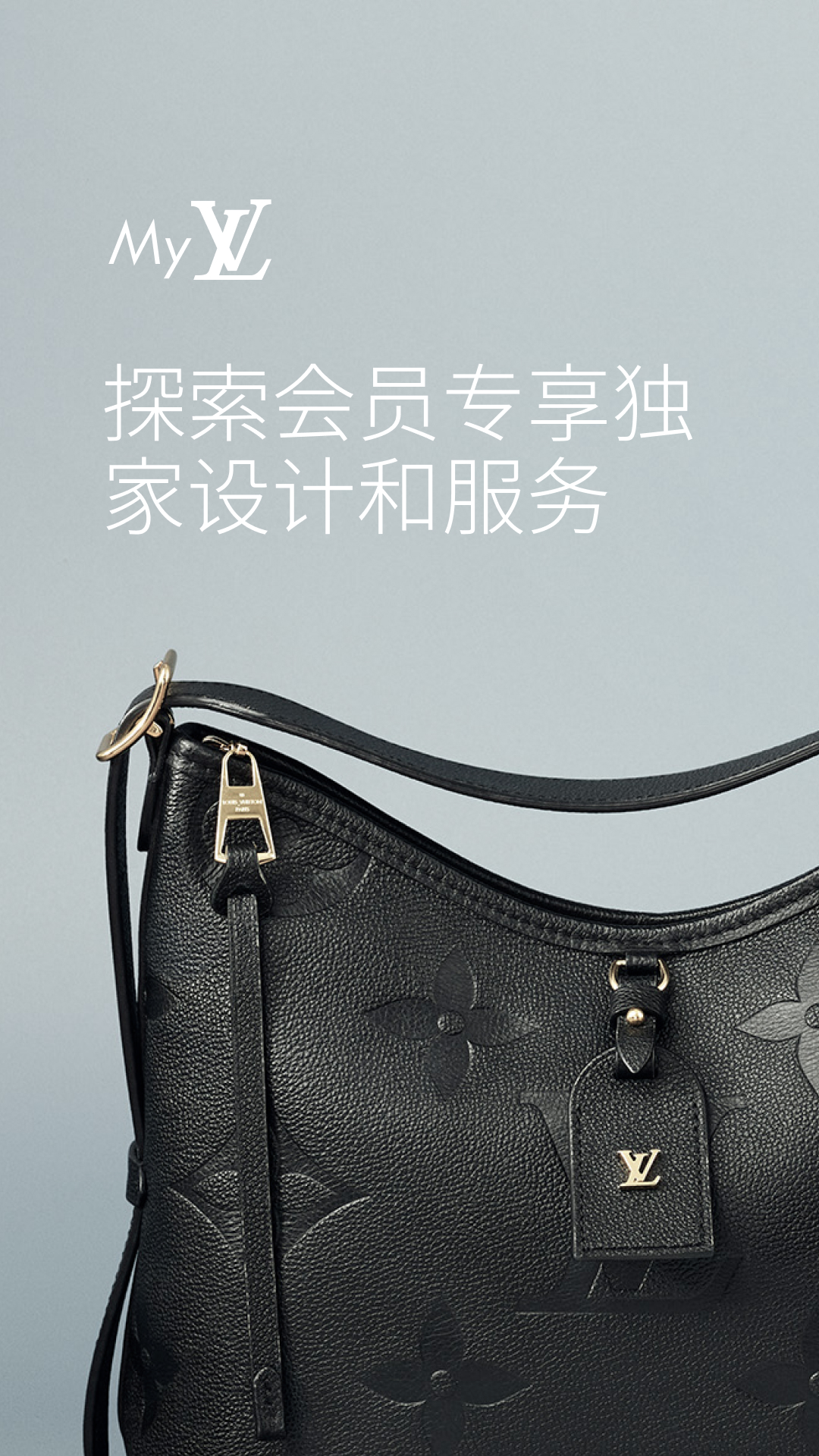 精彩截图-Louis Vuitton2026官方新版