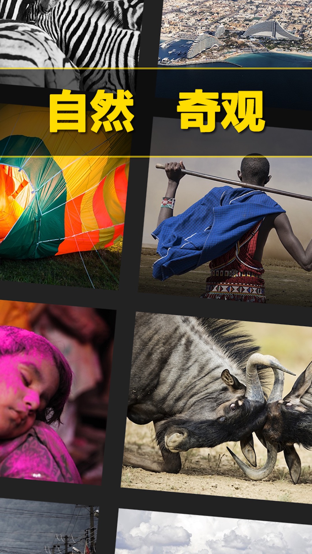 每日精选 截图 4