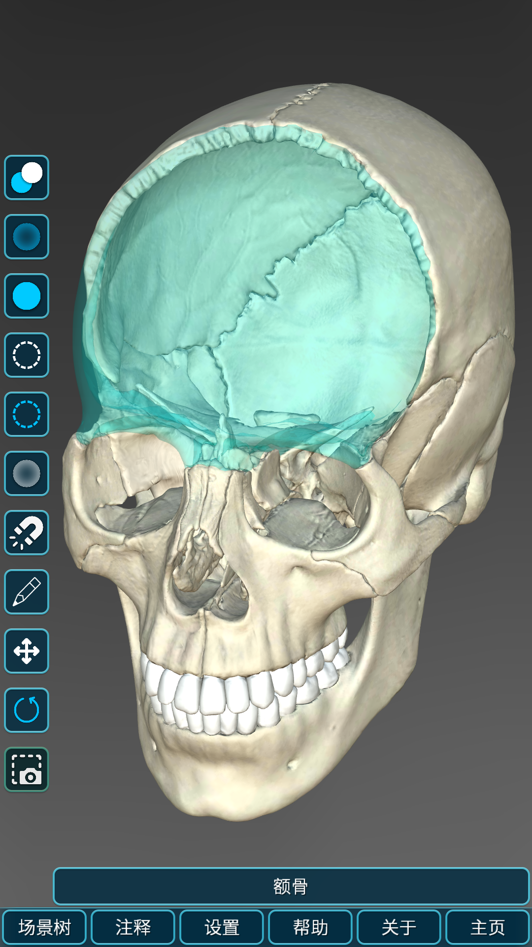 精彩截图-人体解剖学图集2026官方新版