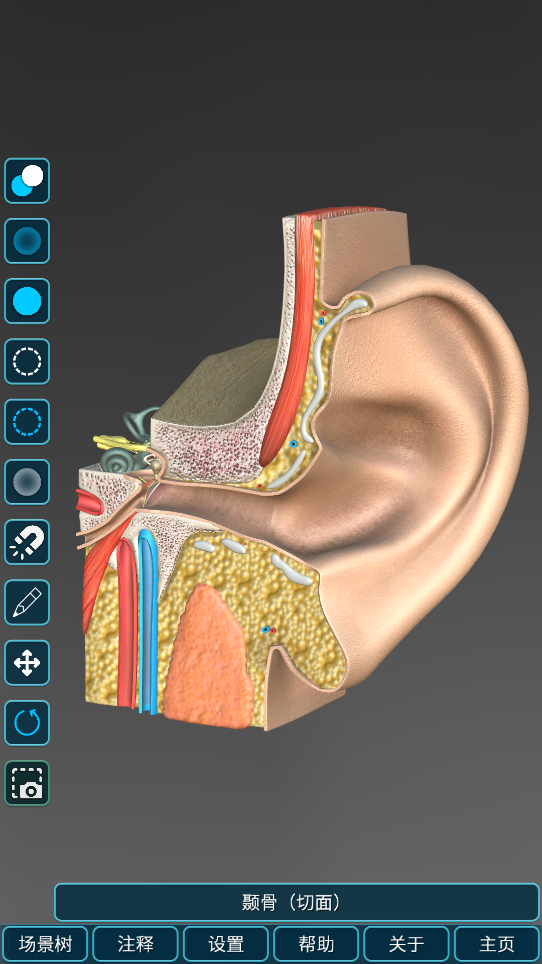 精彩截图-人体解剖学图集2026官方新版