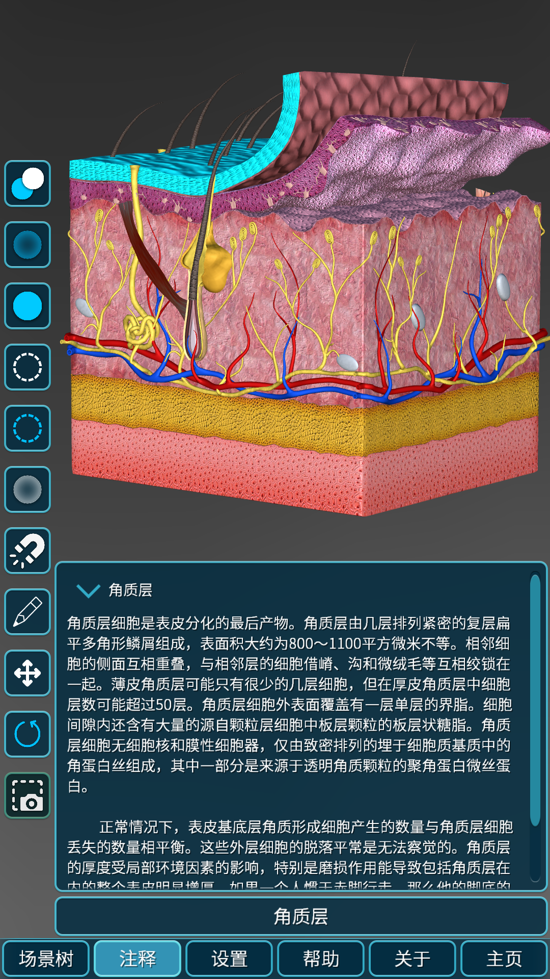 人体解剖学图集 截图 3