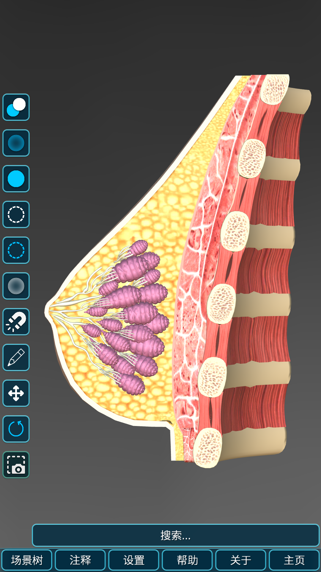 精彩截图-人体解剖学图集2026官方新版