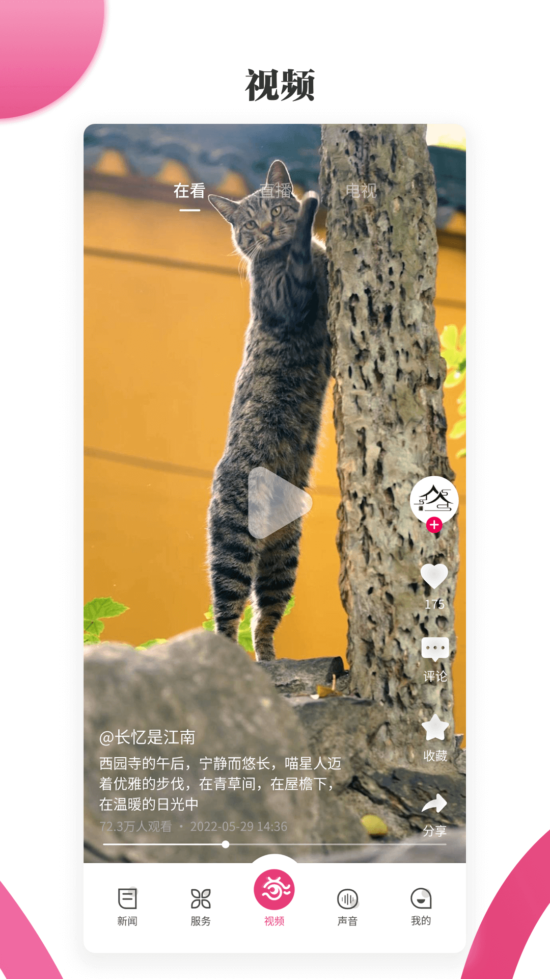 精彩截图-看苏州2026官方新版