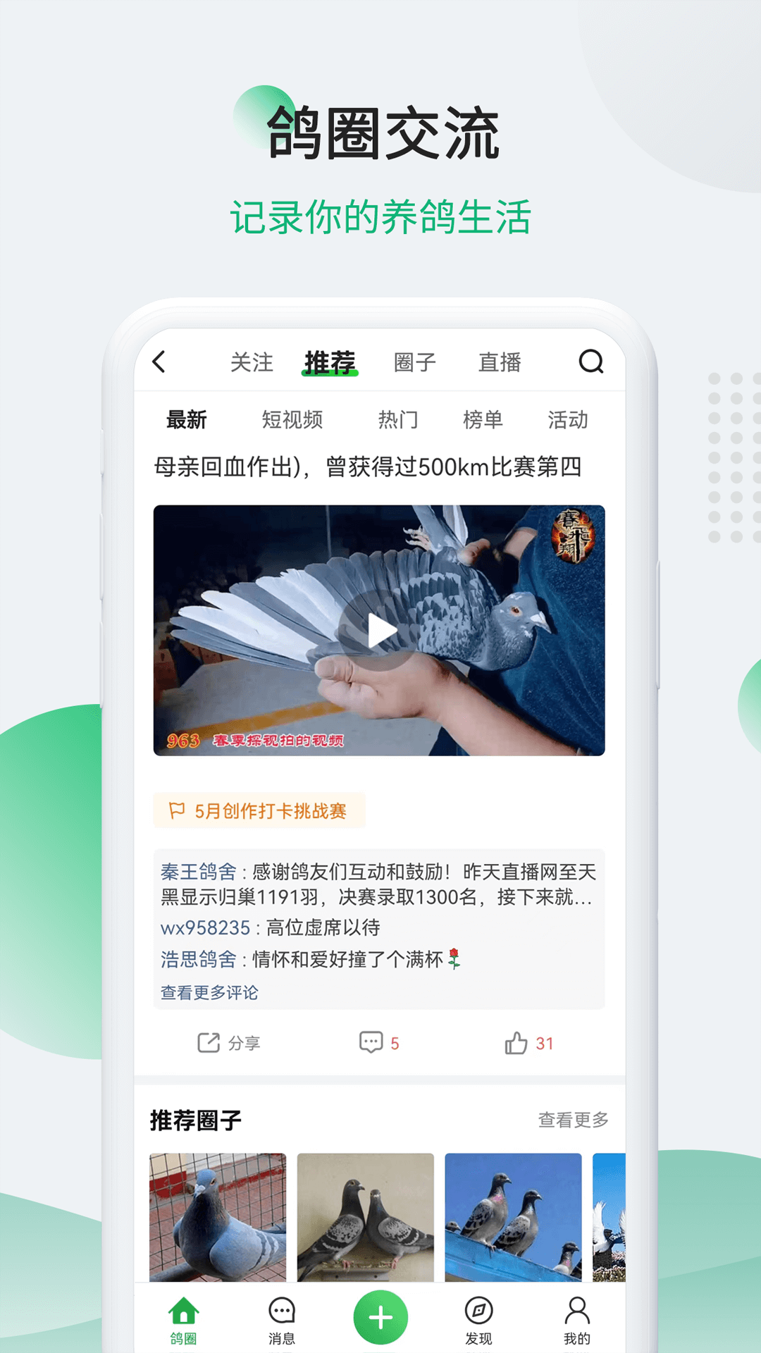 精彩截图-中国信鸽信息网2024官方新版